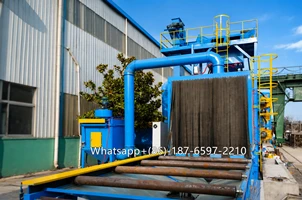 Why Choose Roller Conveyor Shot Blasting Machine For Steel Plates, Beams & Pr...